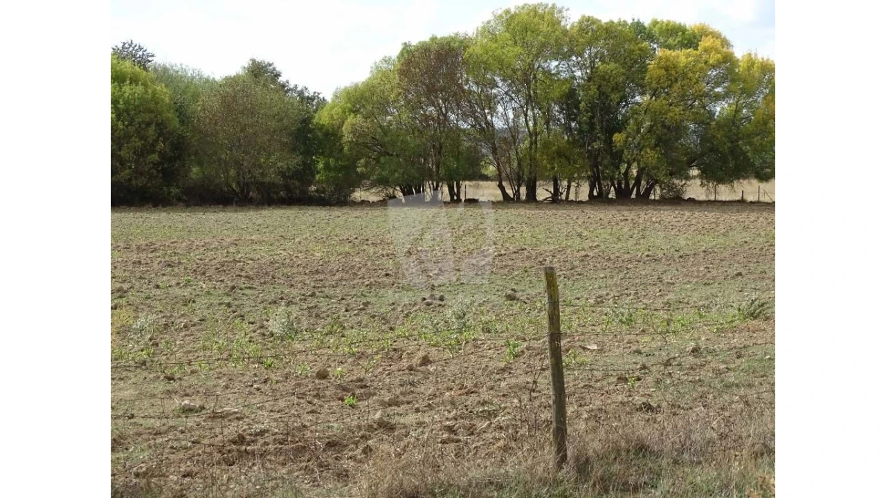 Terreno Agricola ou Rústico para Venda em Oledo Foto 16