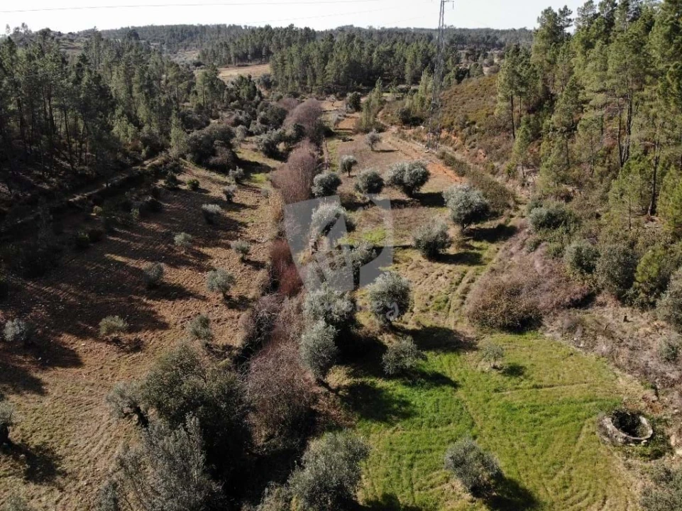 Terreno Agricola ou Rústico para Venda em Sarzedas Foto 20