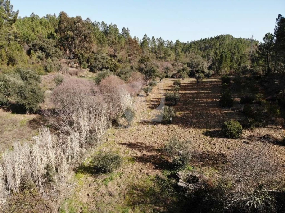 Terreno Agricola ou Rústico para Venda em Sarzedas Foto 32