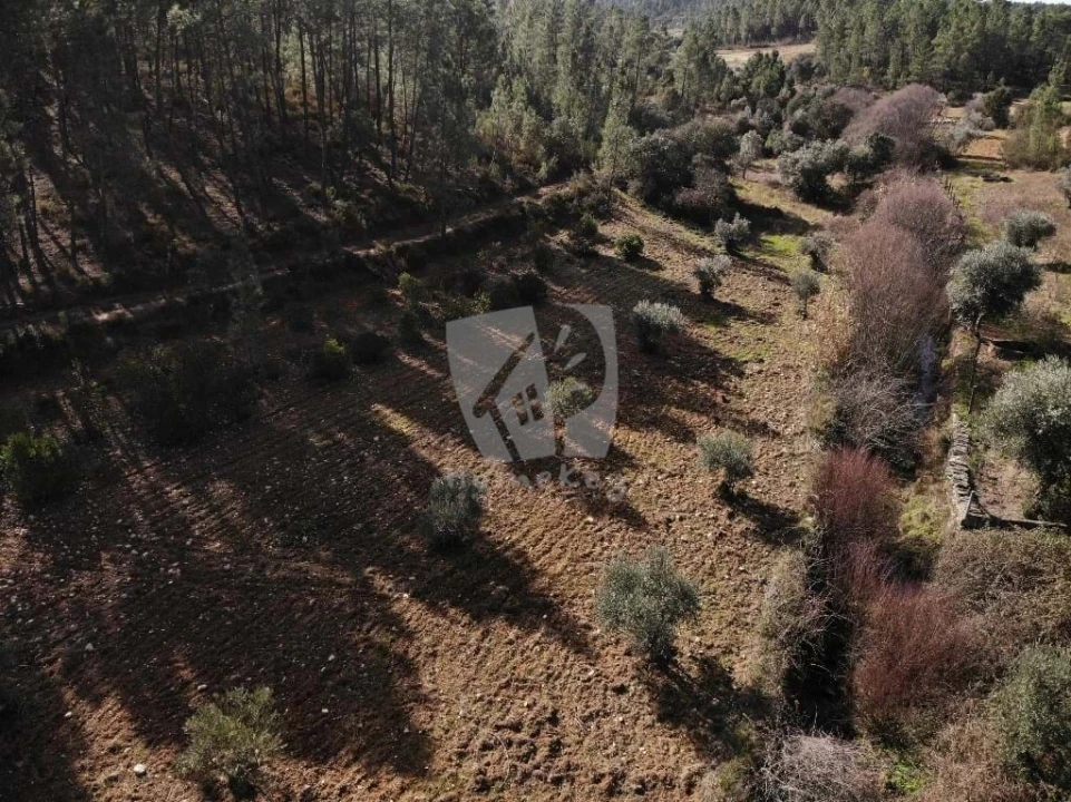 Terreno Agricola ou Rústico para Venda em Sarzedas Foto 36
