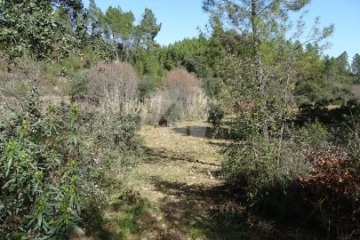 Terreno Agricola ou Rústico para Venda em Sarzedas
