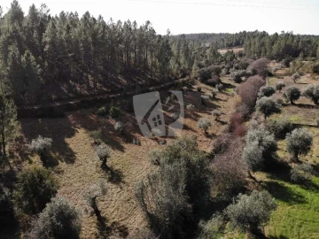 Terreno Agricola ou Rústico para Venda em Sarzedas