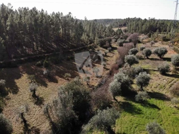 Terreno Agricola ou Rústico para Venda em Sarzedas
