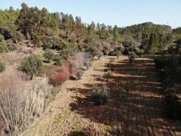 Terreno Agricola ou Rústico para Venda em Sarzedas