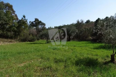 Terreno Agricola ou Rústico para Venda em Sarzedas