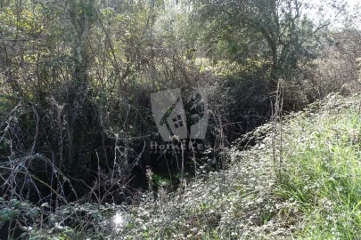 Terreno Agricola ou Rústico para Venda em Sarzedas
