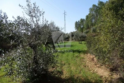 Terreno Agricola ou Rústico para Venda em Sarzedas