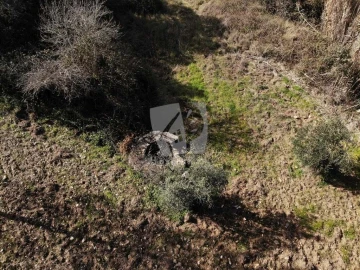 Terreno Agricola ou Rústico para Venda em Sarzedas