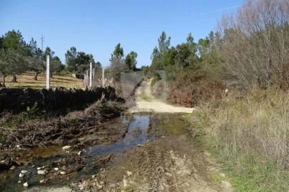 Terreno Agricola ou Rústico para Venda em Sarzedas