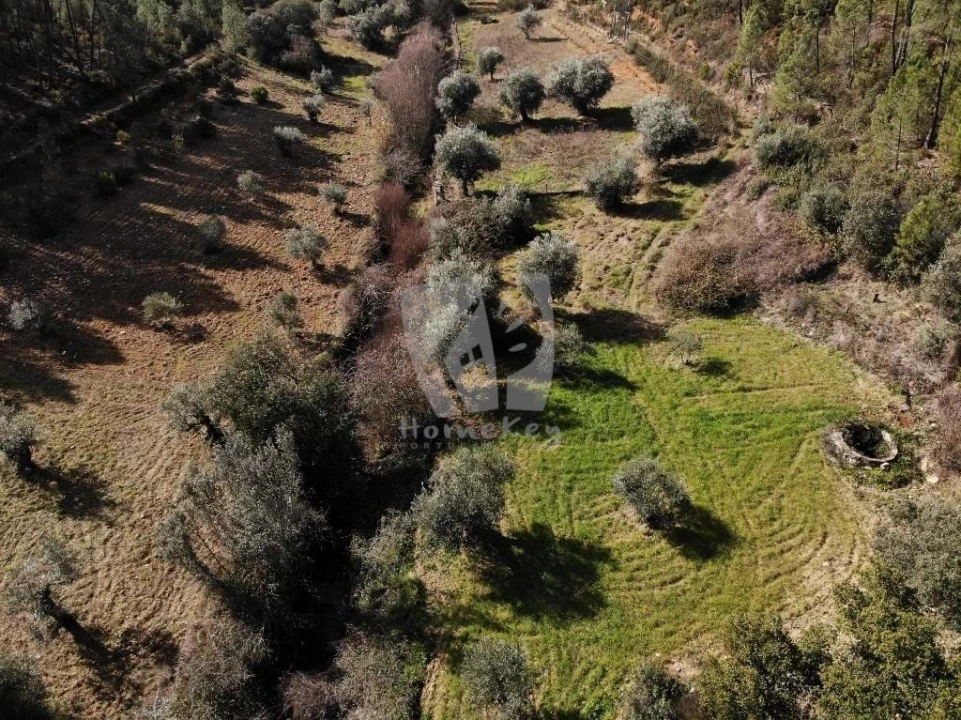 Terreno Agricola ou Rústico para Venda em Sarzedas Foto 19