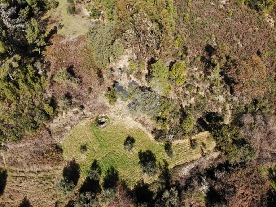 Terreno Agricola ou Rústico para Venda em Sarzedas Foto 17