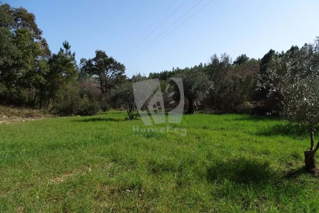 Terreno Agricola ou Rústico para Venda em Sarzedas Foto 1