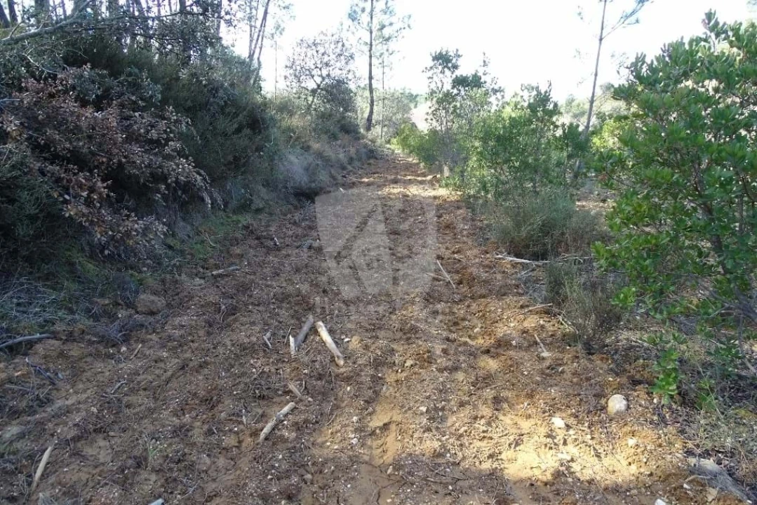 Terreno Agricola ou Rústico para Venda em Sarzedas Foto 40
