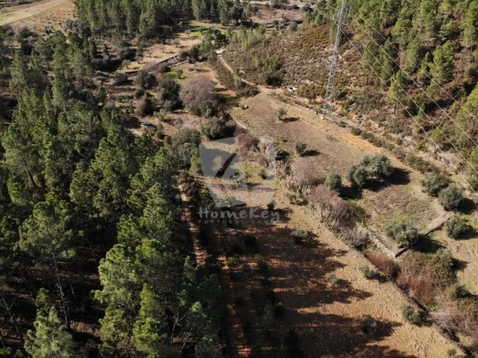 Terreno Agricola ou Rústico para Venda em Sarzedas Foto 29