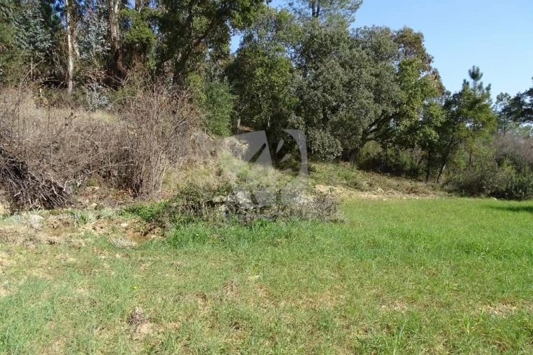 Terreno Agricola ou Rústico para Venda em Sarzedas Foto 5