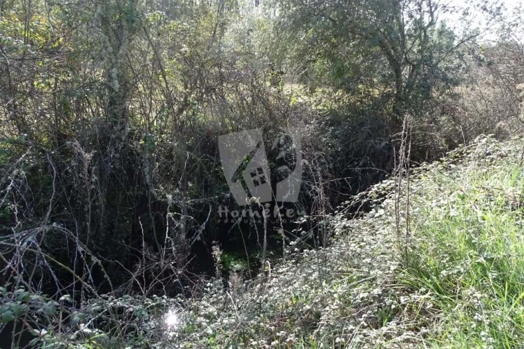 Terreno Agricola ou Rústico para Venda em Sarzedas Foto 27
