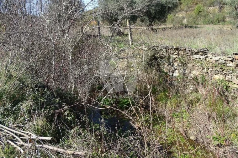 Terreno Agricola ou Rústico para Venda em Sarzedas Foto 25