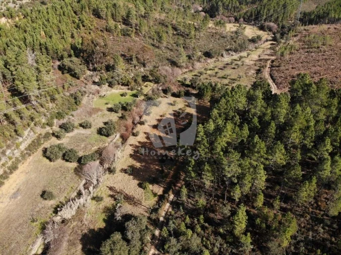 Terreno Agricola ou Rústico para Venda em Sarzedas Foto 21