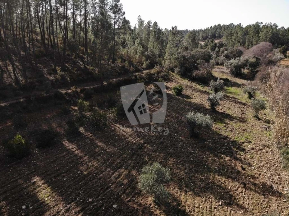 Terreno Agricola ou Rústico para Venda em Sarzedas Foto 42