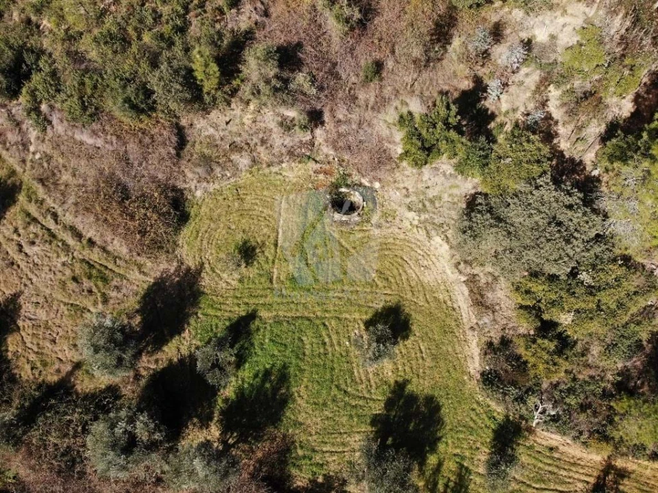 Terreno Agricola ou Rústico para Venda em Sarzedas Foto 16