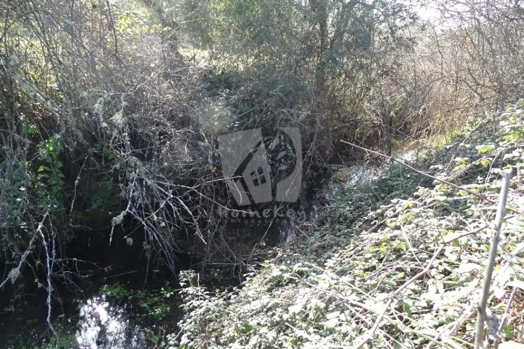 Terreno Agricola ou Rústico para Venda em Sarzedas Foto 30