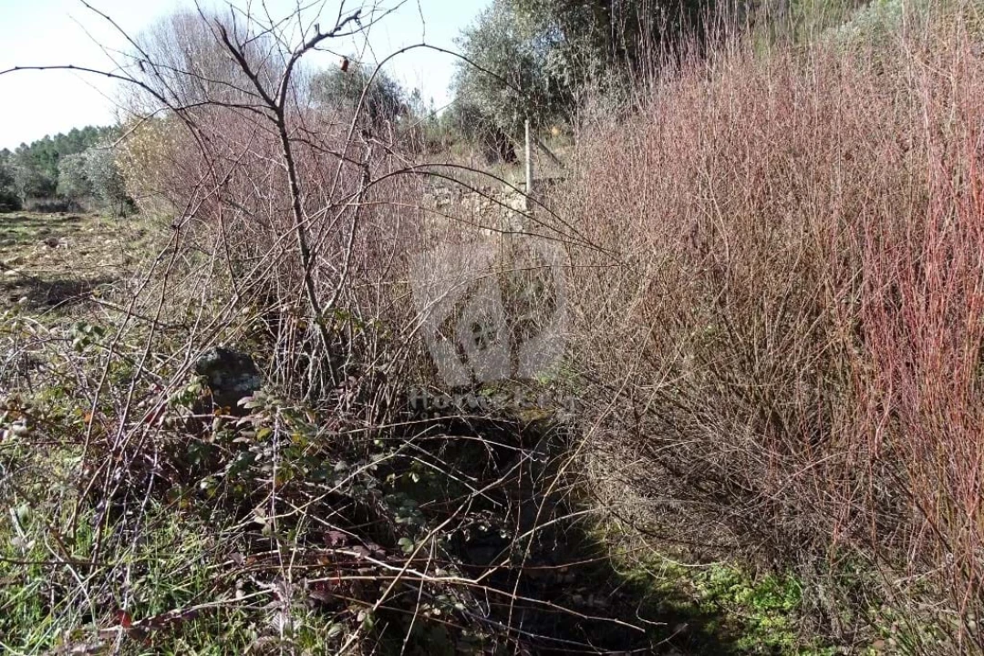 Terreno Agricola ou Rústico para Venda em Sarzedas Foto 26
