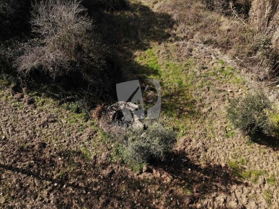 Terreno Agricola ou Rústico para Venda em Sarzedas Foto 15