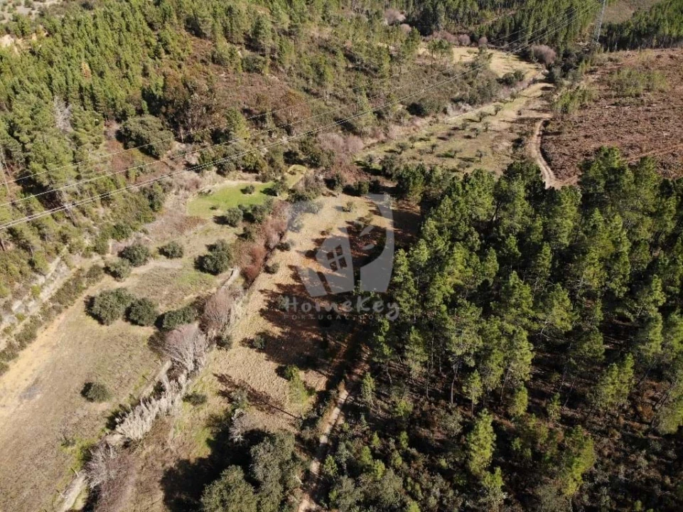Terreno Agricola ou Rústico para Venda em Sarzedas Foto 21