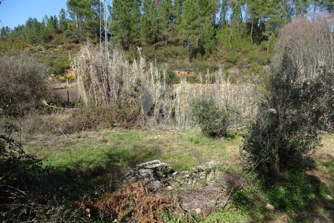 Terreno Agricola ou Rústico para Venda em Sarzedas Foto 8