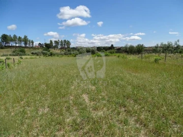 Terreno Agricola ou Rústico para Venda em Sarzedas