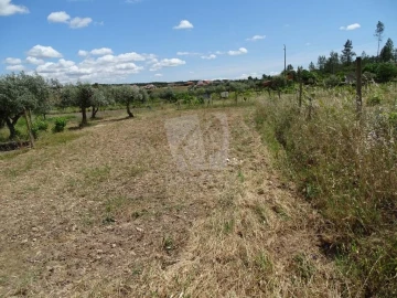 Terreno Agricola ou Rústico para Venda em Sarzedas