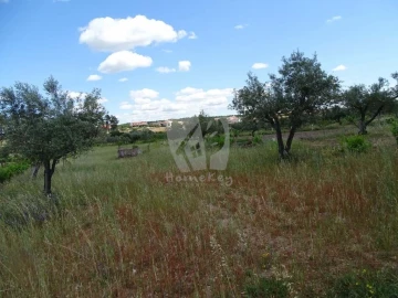 Terreno Agricola ou Rústico para Venda em Sarzedas
