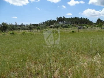 Terreno Agricola ou Rústico para Venda em Sarzedas