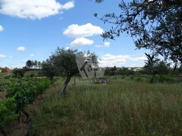 Terreno Agricola ou Rústico para Venda em Sarzedas