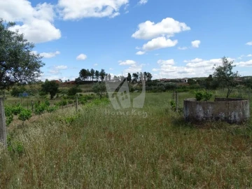 Terreno Agricola ou Rústico para Venda em Sarzedas