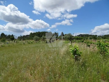 Terreno Agricola ou Rústico para Venda em Sarzedas