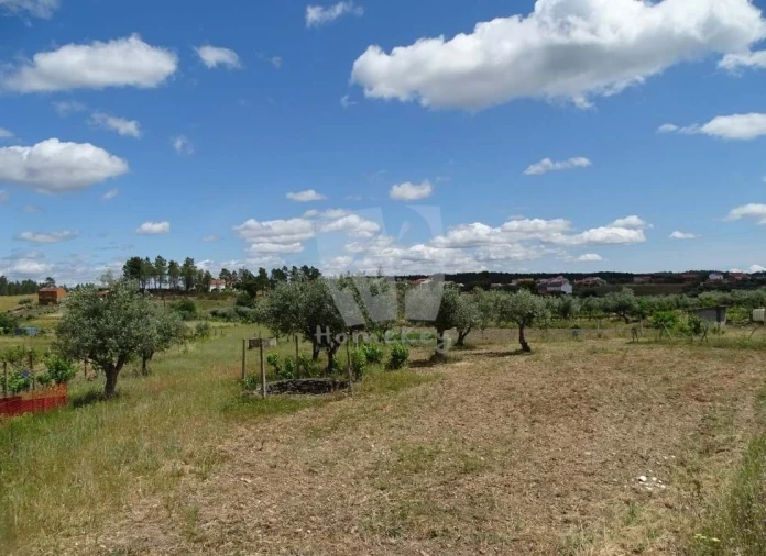 Terreno Agricola ou Rústico para Venda em Sarzedas Foto 15
