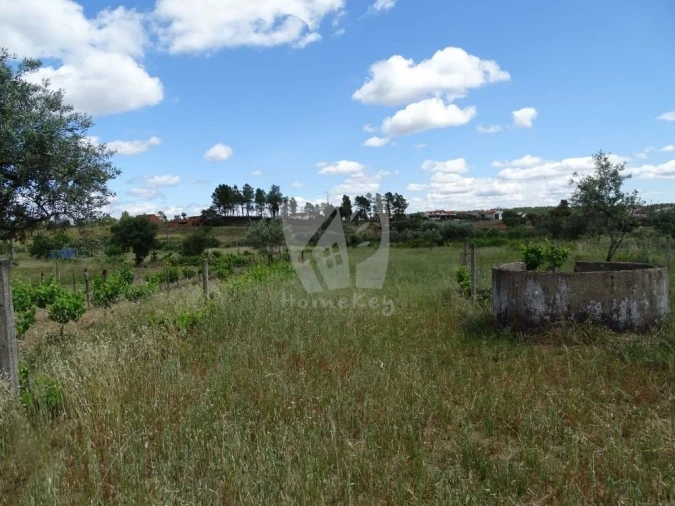Terreno Agricola ou Rústico para Venda em Sarzedas Foto 12