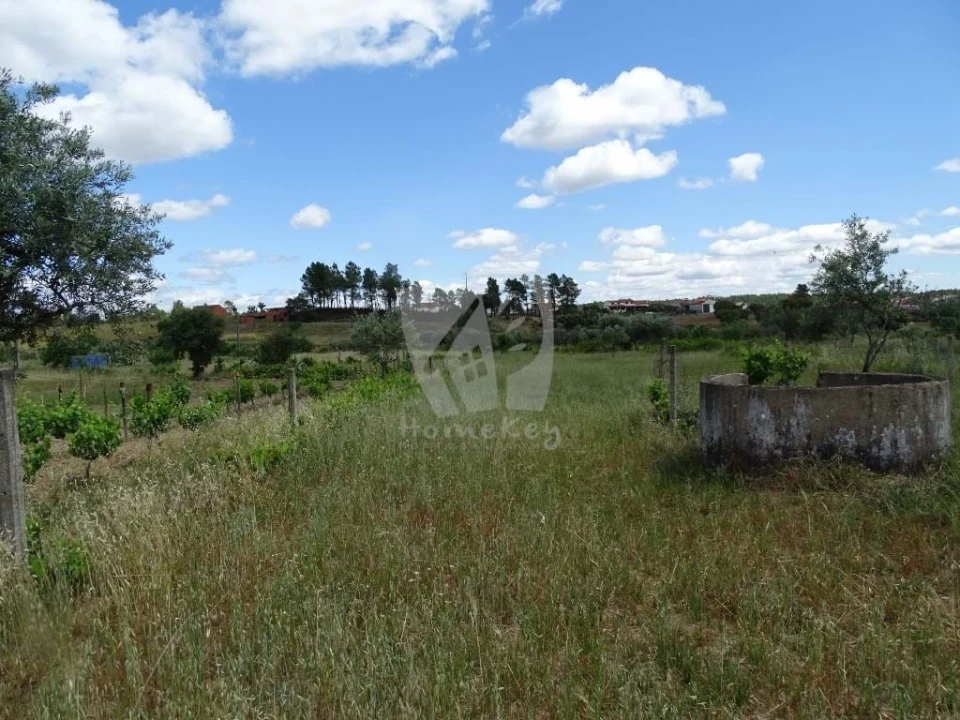 Terreno Agricola ou Rústico para Venda em Sarzedas Foto 12