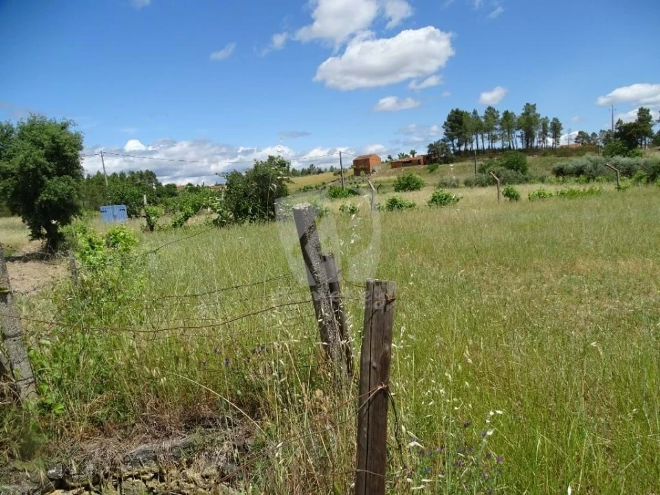 Terreno Agricola ou Rústico para Venda em Sarzedas Foto 4