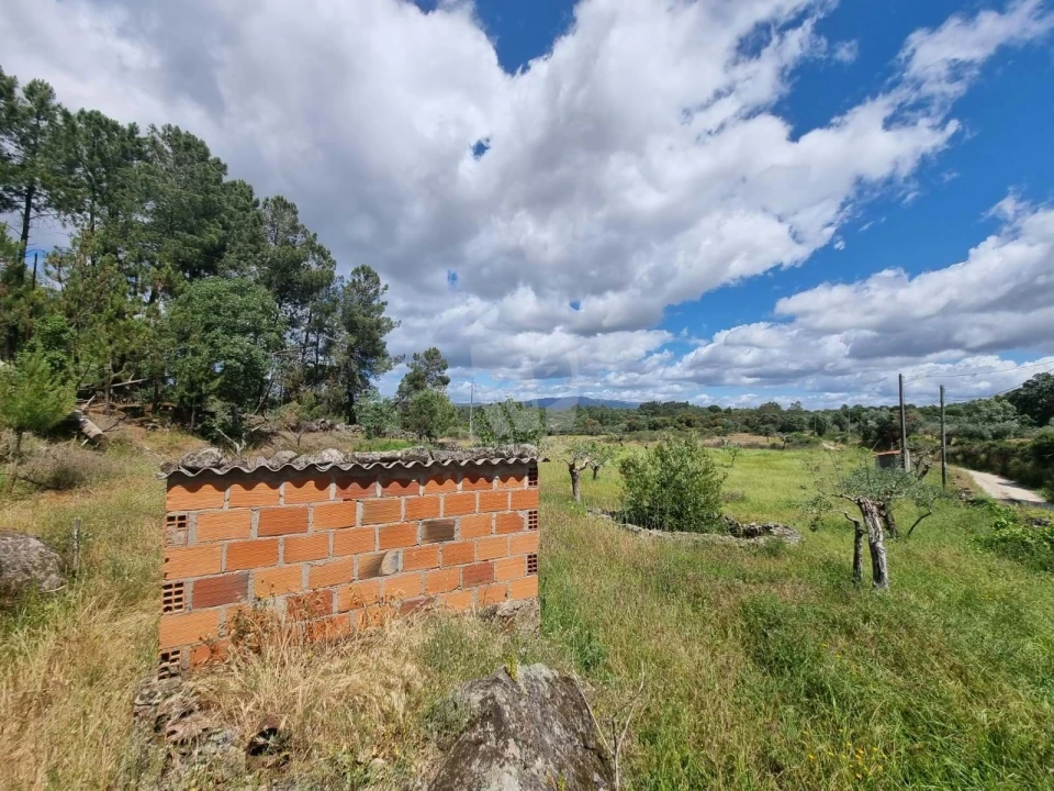 Terreno Agricola ou Rústico para Venda em Póvoa de Rio de Moinhos e Cafede Foto 11