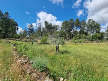 Terreno Agricola ou Rústico para Venda em Póvoa de Rio de Moinhos e Cafede