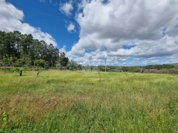 Terreno Agricola ou Rústico para Venda em Póvoa de Rio de Moinhos e Cafede