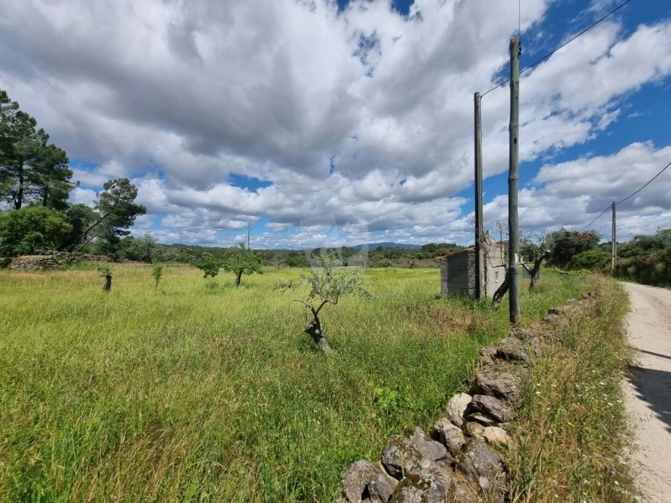 Terreno Agricola ou Rústico para Venda em Póvoa de Rio de Moinhos e Cafede Foto 5