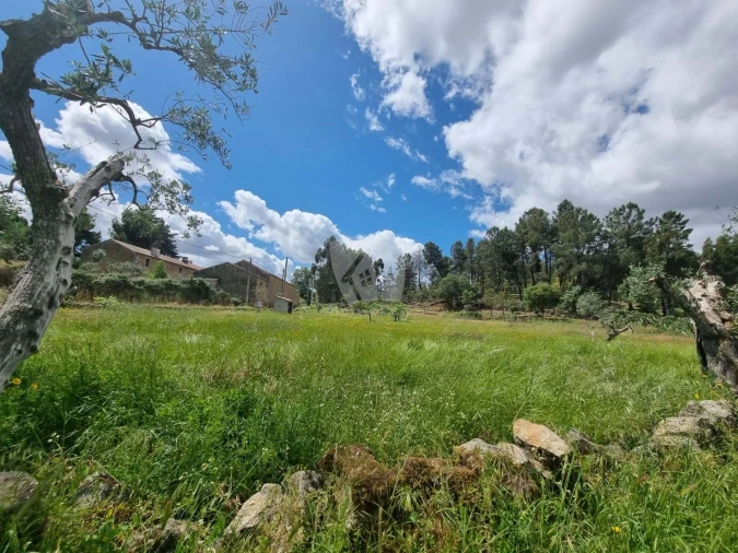 Terreno Agricola ou Rústico para Venda em Póvoa de Rio de Moinhos e Cafede Foto 8