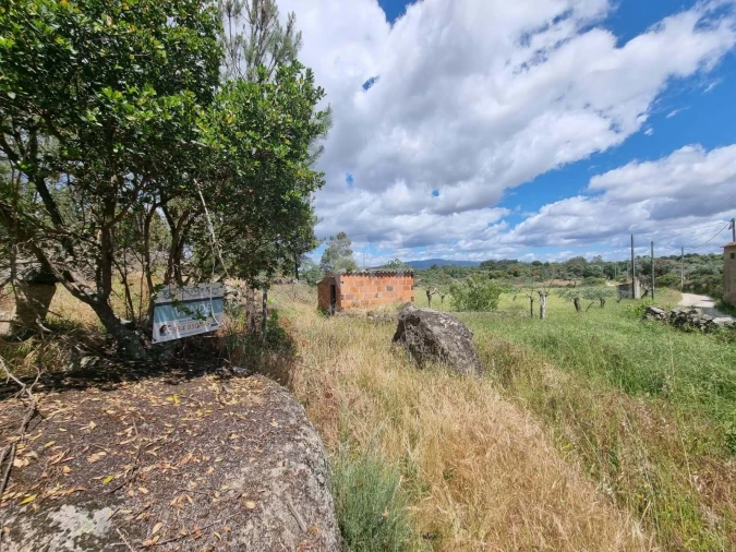 Terreno Agricola ou Rústico para Venda em Póvoa de Rio de Moinhos e Cafede Foto 12