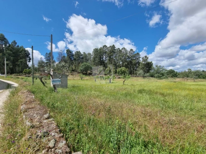 Terreno Agricola ou Rústico para Venda em Póvoa de Rio de Moinhos e Cafede Foto 4