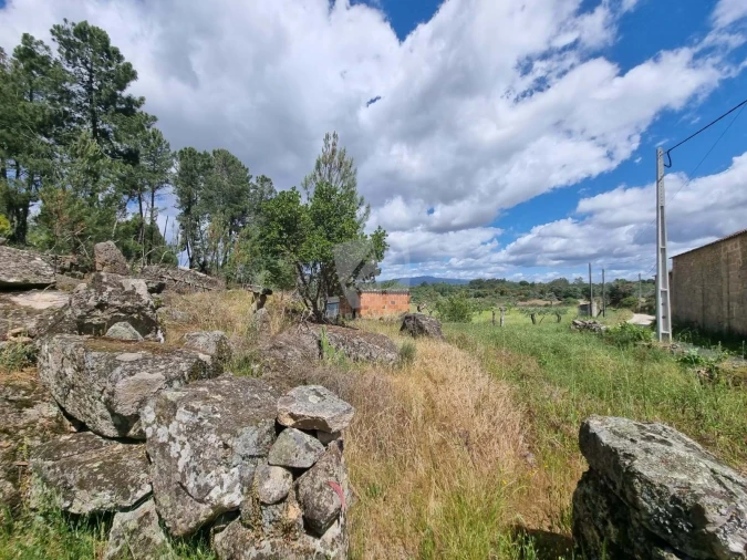Terreno Agricola ou Rústico para Venda em Póvoa de Rio de Moinhos e Cafede Foto 7