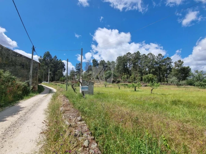 Terreno Agricola ou Rústico para Venda em Póvoa de Rio de Moinhos e Cafede Foto 3