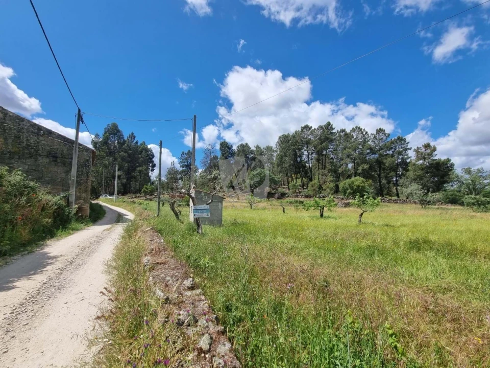 Terreno Agricola ou Rústico para Venda em Póvoa de Rio de Moinhos e Cafede Foto 3